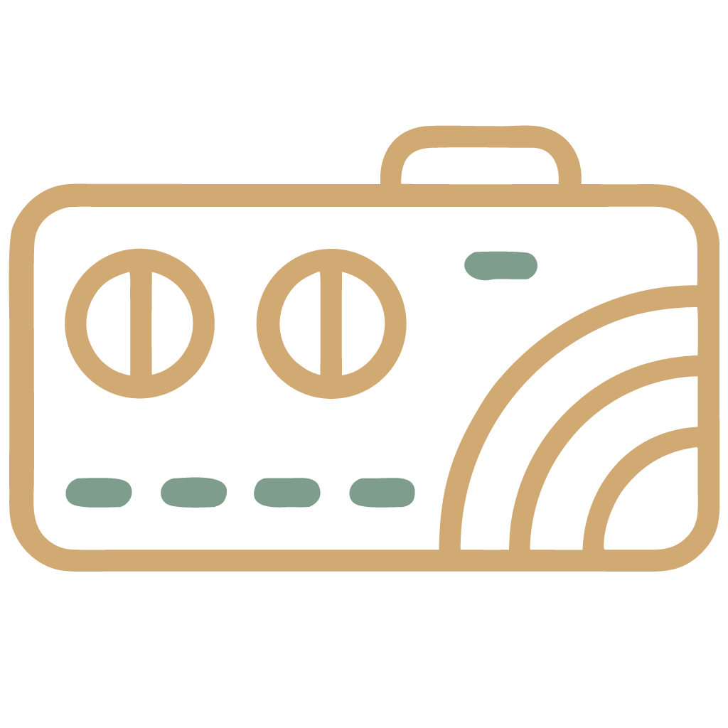Студийное железо