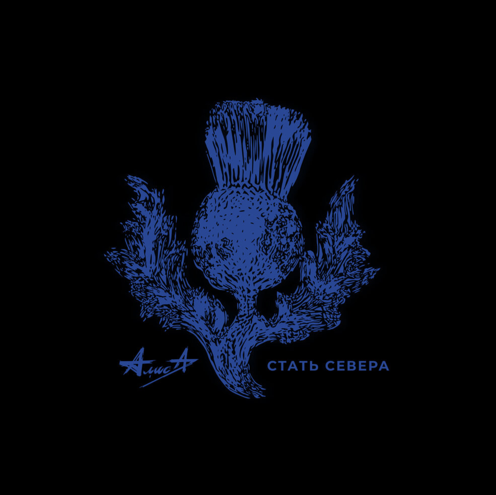 Стать севера